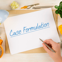 Case Formulation